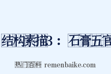 结构素描3：石膏五官是什么意思的图片